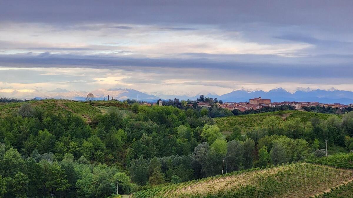 Buta - Vino, Colline E Tramonti Mozzafiato Leilighet Castagnole Monferrato Eksteriør bilde